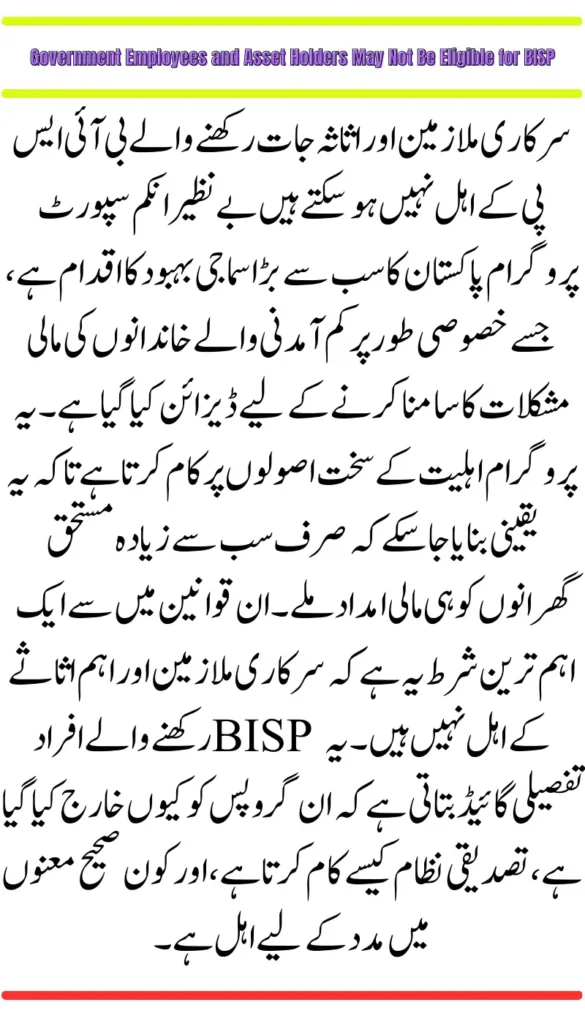 Government Employees and Asset Holders May Not Be Eligible for BISP – Complete Eligibility Guide 2025